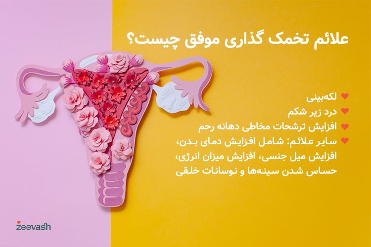 علائم تخمک گذاری موفق